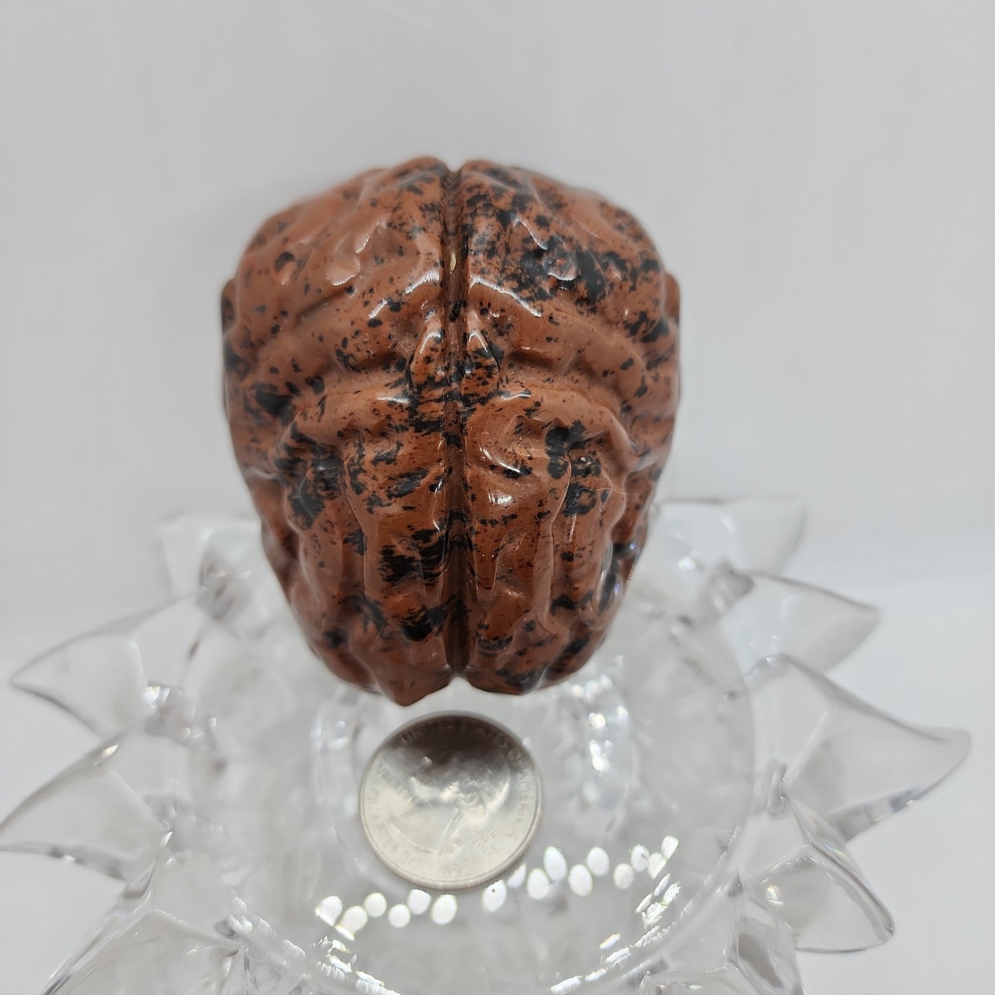 Brain Mahogany Obsidian