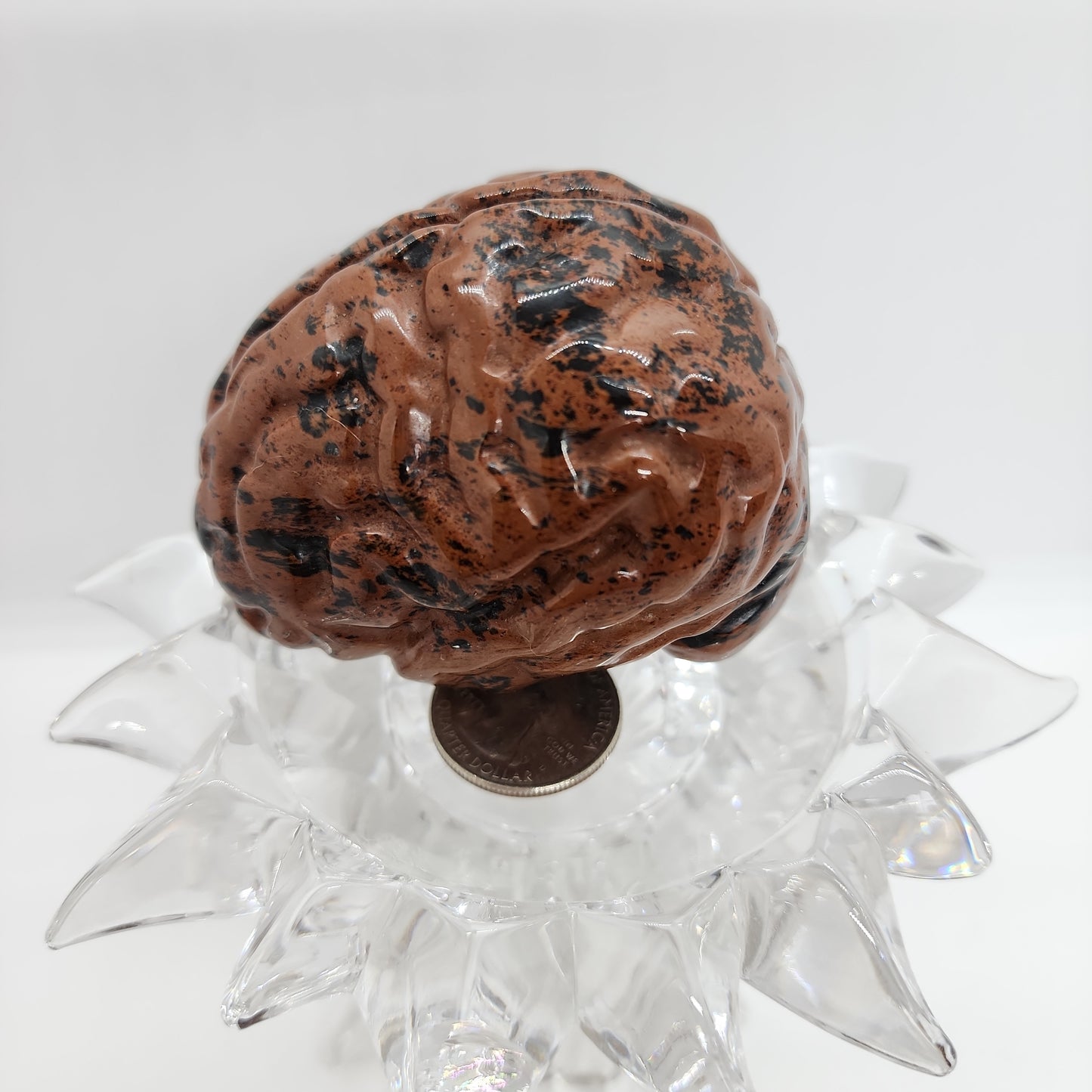 Brain Mahogany Obsidian