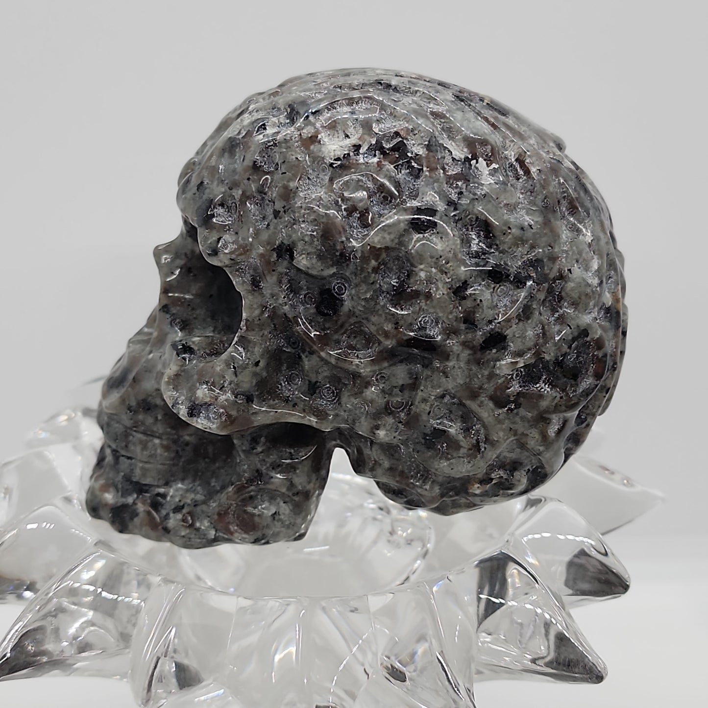 Skull Yooperlite