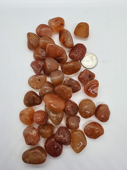 Tumble Carnelian