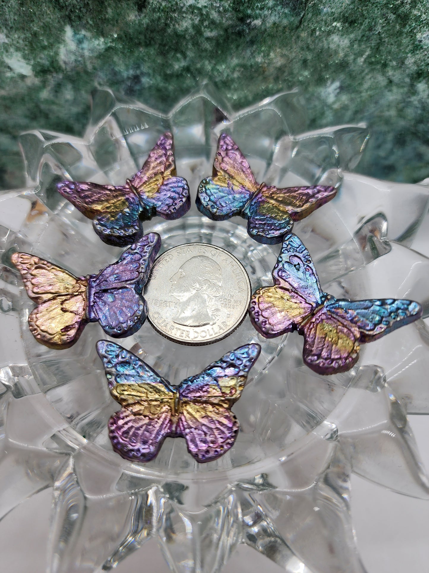 Butterfly Bismuth Large